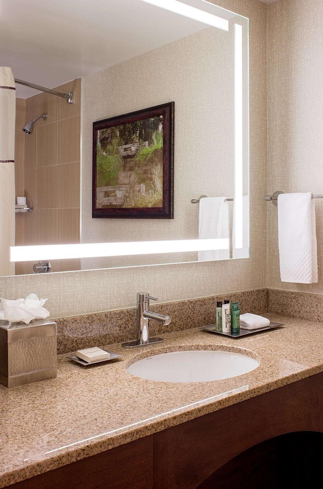 Hilton Houston Galleria Area Esterno foto